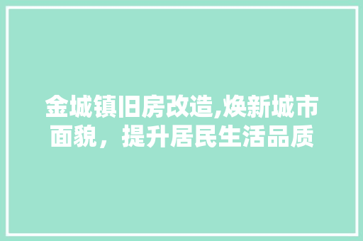 金城镇旧房改造,焕新城市面貌，提升居民生活品质