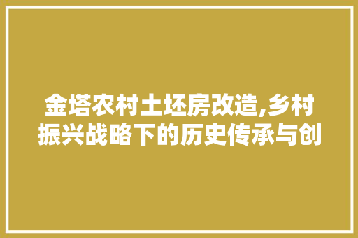 金塔农村土坯房改造,乡村振兴战略下的历史传承与创新发展 墙体维修