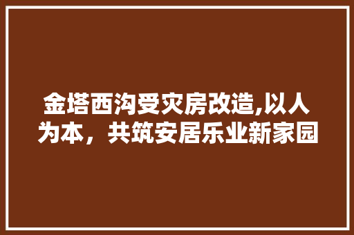 金塔西沟受灾房改造,以人为本，共筑安居乐业新家园 汽车维修