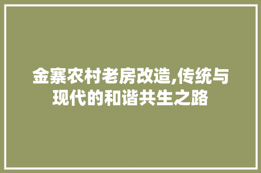 金寨农村老房改造,传统与现代的和谐共生之路 汽车维修