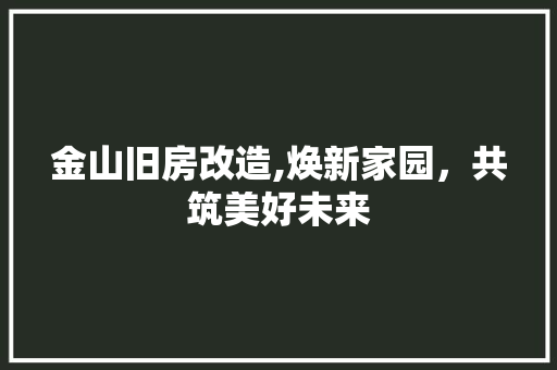 金山旧房改造,焕新家园，共筑美好未来 墙体维修