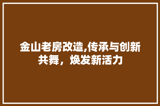 金山老房改造,传承与创新共舞，焕发新活力 墙体维修