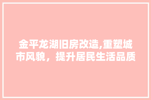 金平龙湖旧房改造,重塑城市风貌，提升居民生活品质 厨房维修