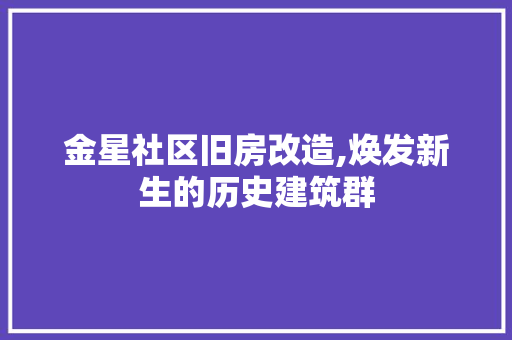 金星社区旧房改造,焕发新生的历史建筑群 厨房维修