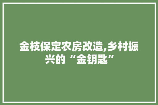 金枝保定农房改造,乡村振兴的“金钥匙” 汽车维修