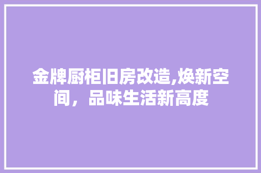 金牌厨柜旧房改造,焕新空间，品味生活新高度 家电维修