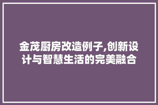 金茂厨房改造例子,创新设计与智慧生活的完美融合 综合便民