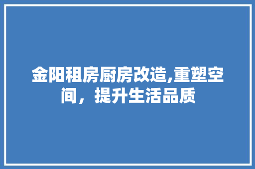 金阳租房厨房改造,重塑空间，提升生活品质 厨房维修