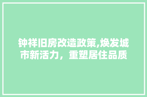 钟祥旧房改造政策,焕发城市新活力，重塑居住品质