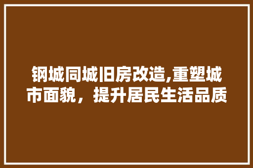 钢城同城旧房改造,重塑城市面貌，提升居民生活品质