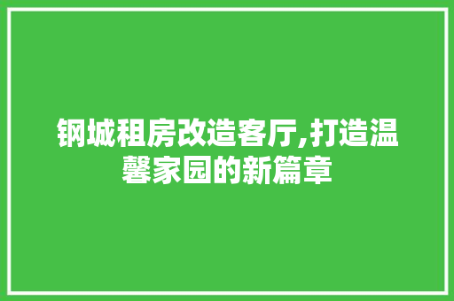 钢城租房改造客厅,打造温馨家园的新篇章
