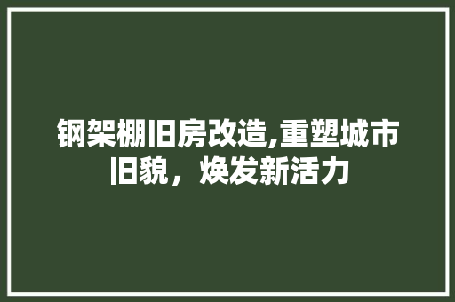 钢架棚旧房改造,重塑城市旧貌，焕发新活力