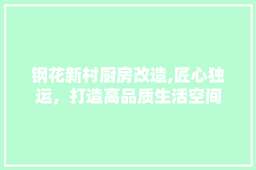 钢花新村厨房改造,匠心独运，打造高品质生活空间