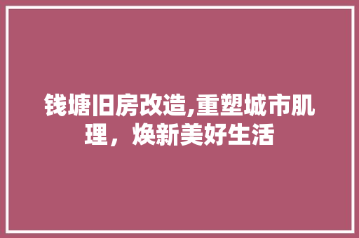 钱塘旧房改造,重塑城市肌理，焕新美好生活