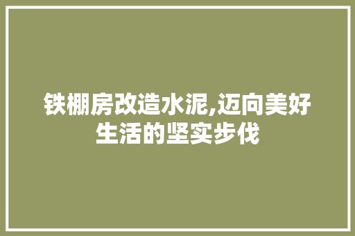 铁棚房改造水泥,迈向美好生活的坚实步伐
