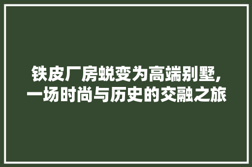 铁皮厂房蜕变为高端别墅,一场时尚与历史的交融之旅