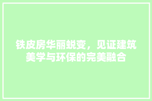 铁皮房华丽蜕变，见证建筑美学与环保的完美融合