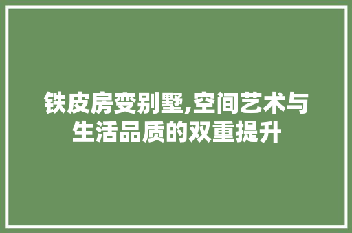 铁皮房变别墅,空间艺术与生活品质的双重提升