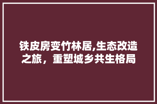 铁皮房变竹林居,生态改造之旅，重塑城乡共生格局