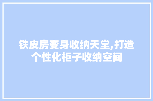 铁皮房变身收纳天堂,打造个性化柜子收纳空间