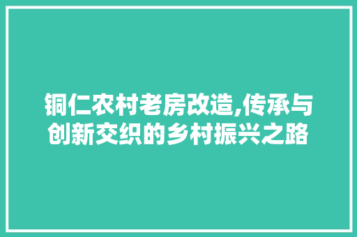 铜仁农村老房改造,传承与创新交织的乡村振兴之路