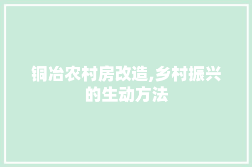 铜冶农村房改造,乡村振兴的生动方法