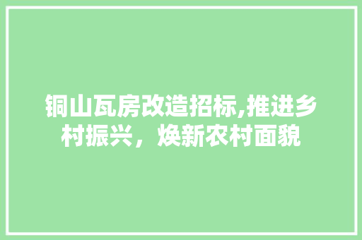 铜山瓦房改造招标,推进乡村振兴，焕新农村面貌