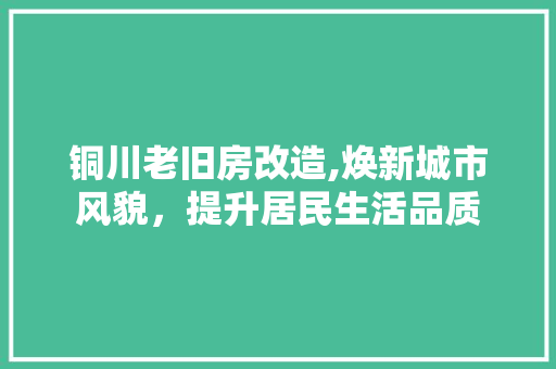 铜川老旧房改造,焕新城市风貌，提升居民生活品质