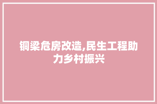铜梁危房改造,民生工程助力乡村振兴