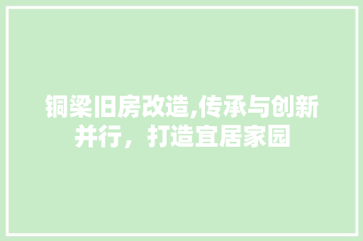 铜梁旧房改造,传承与创新并行，打造宜居家园