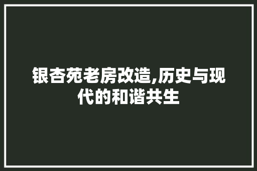 银杏苑老房改造,历史与现代的和谐共生
