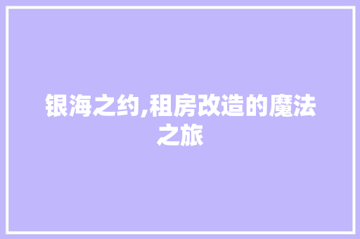 银海之约,租房改造的魔法之旅 家电维修