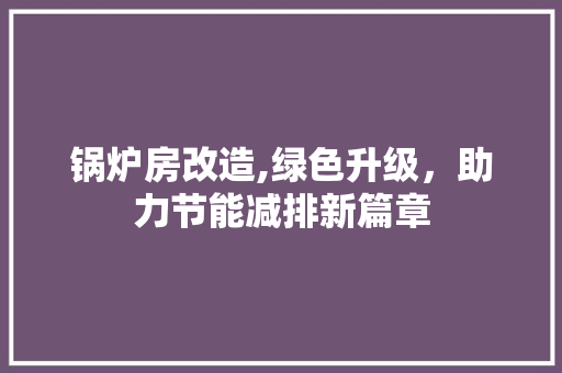 锅炉房改造,绿色升级，助力节能减排新篇章