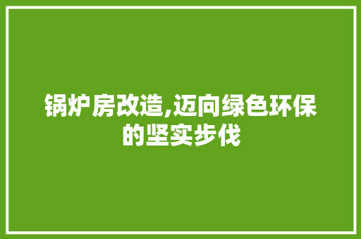 锅炉房改造,迈向绿色环保的坚实步伐