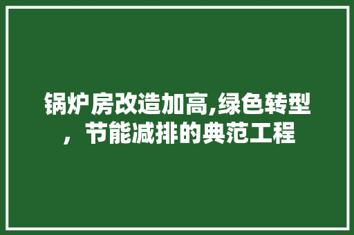 锅炉房改造加高,绿色转型，节能减排的典范工程