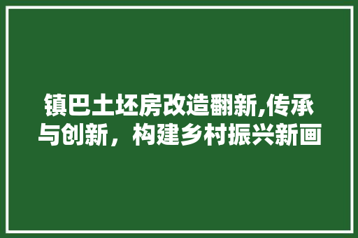 镇巴土坯房改造翻新,传承与创新，构建乡村振兴新画卷