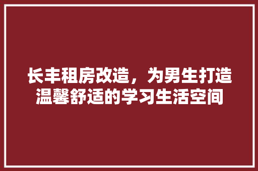长丰租房改造，为男生打造温馨舒适的学习生活空间 墙体维修
