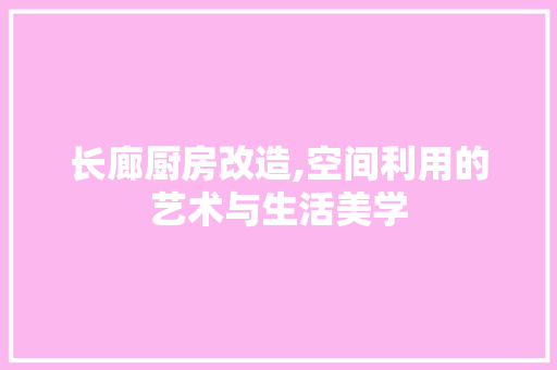 长廊厨房改造,空间利用的艺术与生活美学