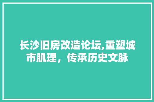 长沙旧房改造论坛,重塑城市肌理，传承历史文脉