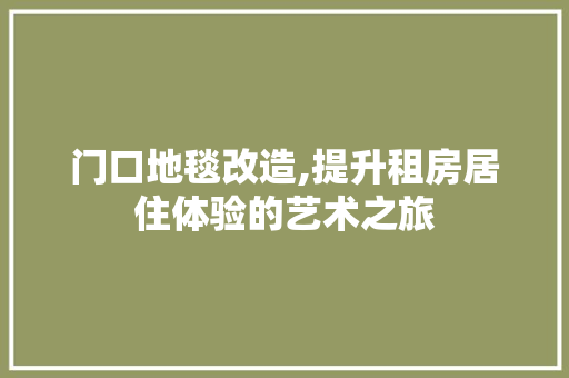 门口地毯改造,提升租房居住体验的艺术之旅