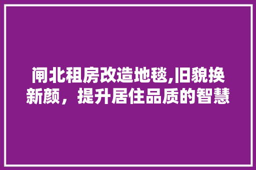 闸北租房改造地毯,旧貌换新颜，提升居住品质的智慧之路 汽车维修