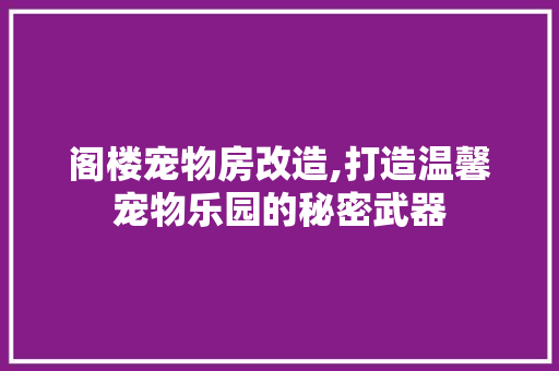 阁楼宠物房改造,打造温馨宠物乐园的秘密武器 墙体维修