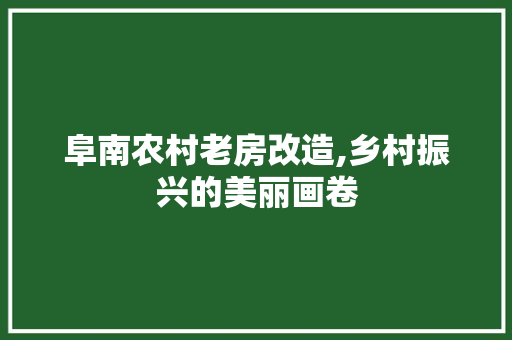 阜南农村老房改造,乡村振兴的美丽画卷