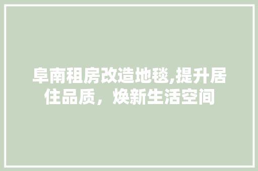 阜南租房改造地毯,提升居住品质，焕新生活空间