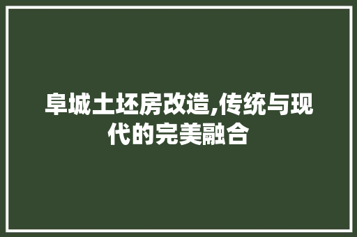 阜城土坯房改造,传统与现代的完美融合
