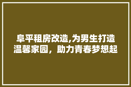 阜平租房改造,为男生打造温馨家园，助力青春梦想起飞 家电维修