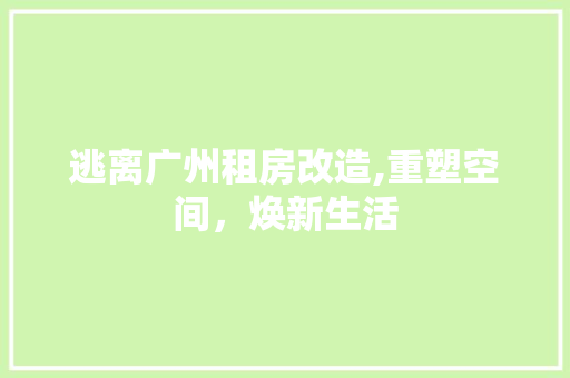 逃离广州租房改造,重塑空间，焕新生活