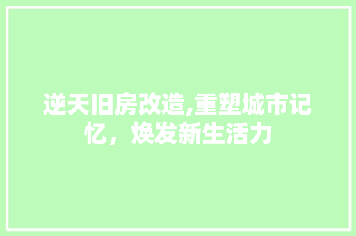 逆天旧房改造,重塑城市记忆，焕发新生活力