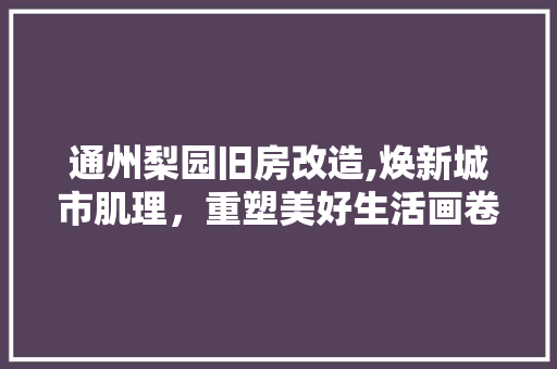 通州梨园旧房改造,焕新城市肌理，重塑美好生活画卷