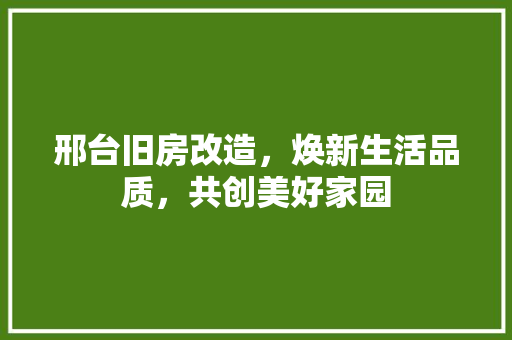 邢台旧房改造，焕新生活品质，共创美好家园 墙体维修
